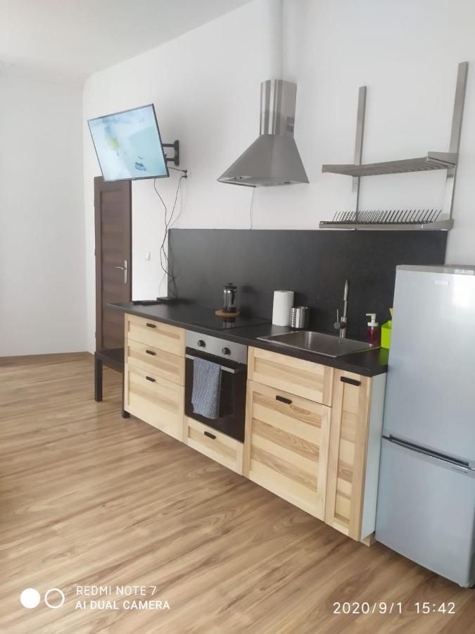 Herman View Apartment Грудзьондз Екстер'єр фото